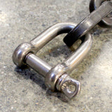 Stainless Steel D Patt Shackle